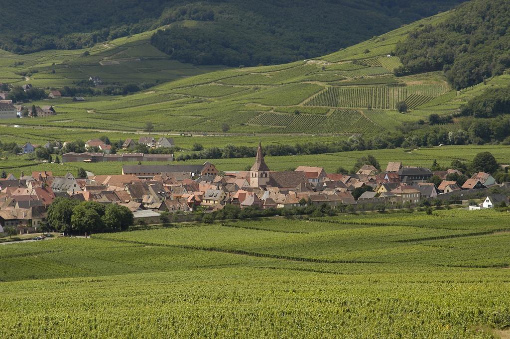 Hostellerie Schwendi Kientzheim Exteriör bild